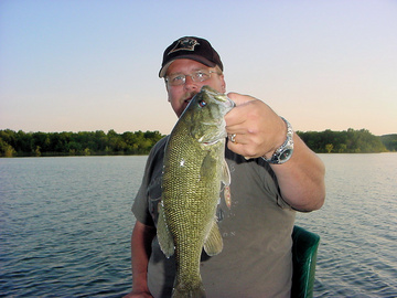 Largemouth Bass