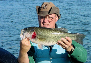 Largemouth Bass