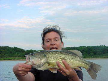 Largemouth Bass