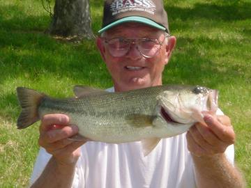Largemouth Bass
